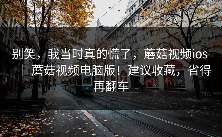 别笑，我当时真的慌了，蘑菇视频ios ｜ 蘑菇视频电脑版！建议收藏，省得再翻车