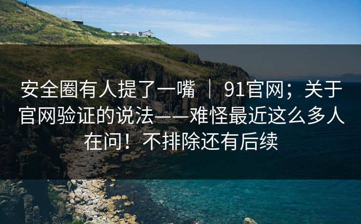 安全圈有人提了一嘴 ｜ 91官网；关于官网验证的说法——难怪最近这么多人在问！不排除还有后续
