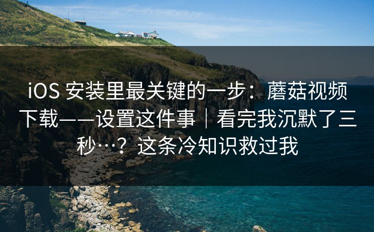 iOS 安装里最关键的一步：蘑菇视频下载——设置这件事｜看完我沉默了三秒…？这条冷知识救过我