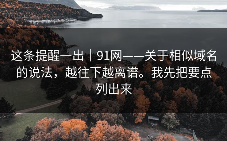 这条提醒一出｜91网——关于相似域名的说法，越往下越离谱。我先把要点列出来